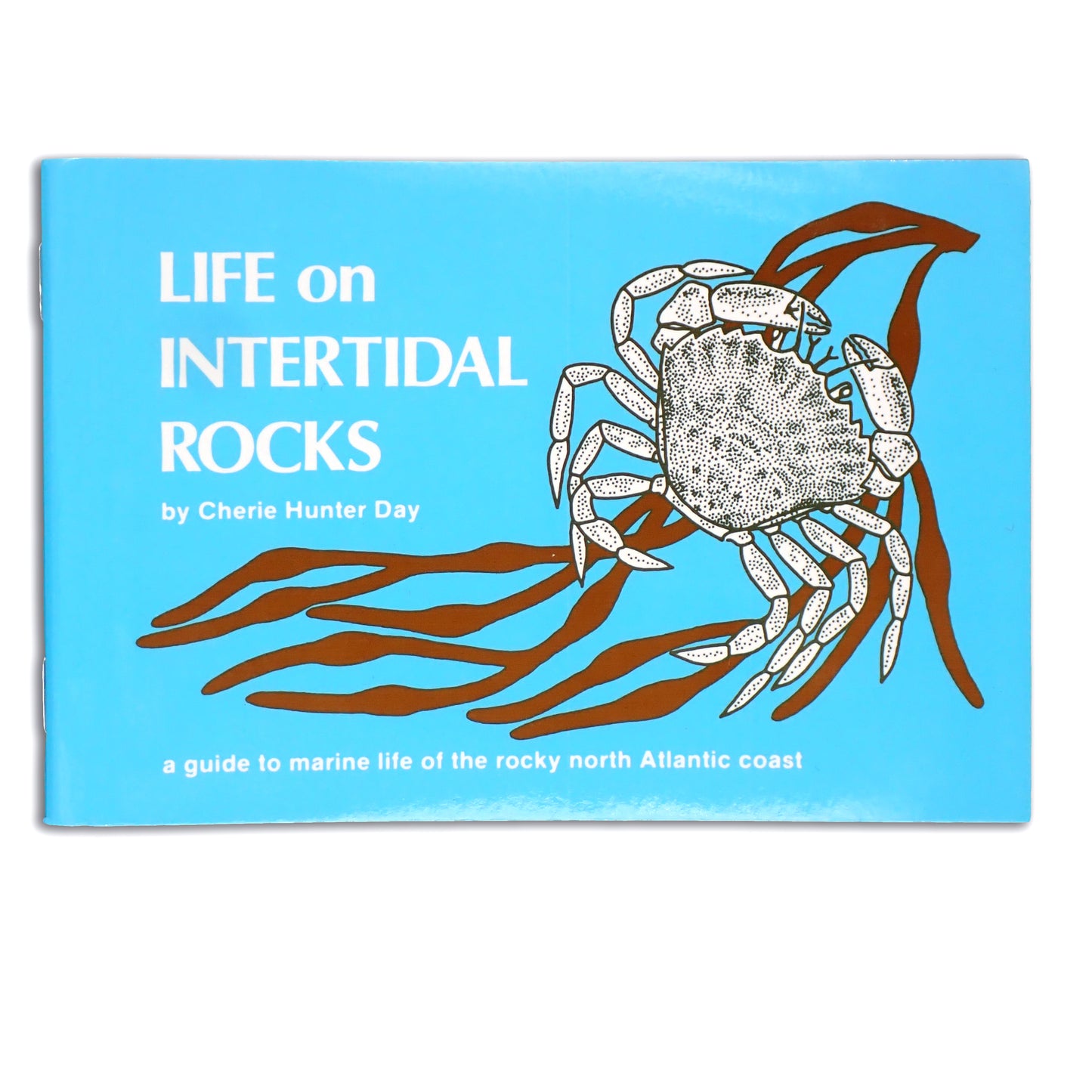 Life on Intertidal Rocks: a guide to marine life of the rocky north Atlantic coast - Cherie Hunter Day