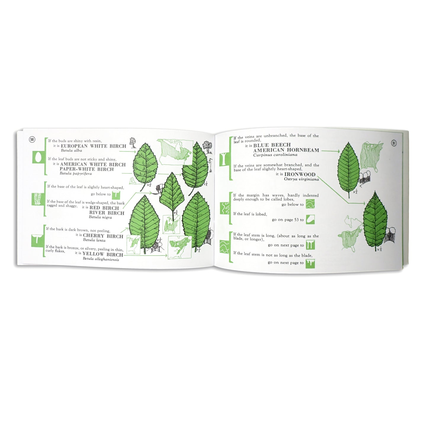 Tree Finder: A Manual for the Identification of Trees by Their Leaves - May Theilgaard Watts