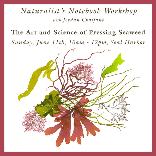 The Art and Science of Pressing Seaweed Workshop