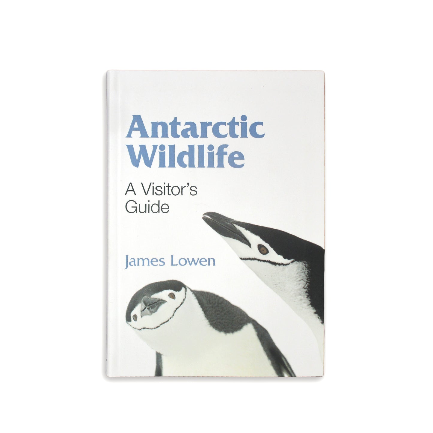 Antarctic Wildlife: A Visitor's Guide - James Lowen (paperback)