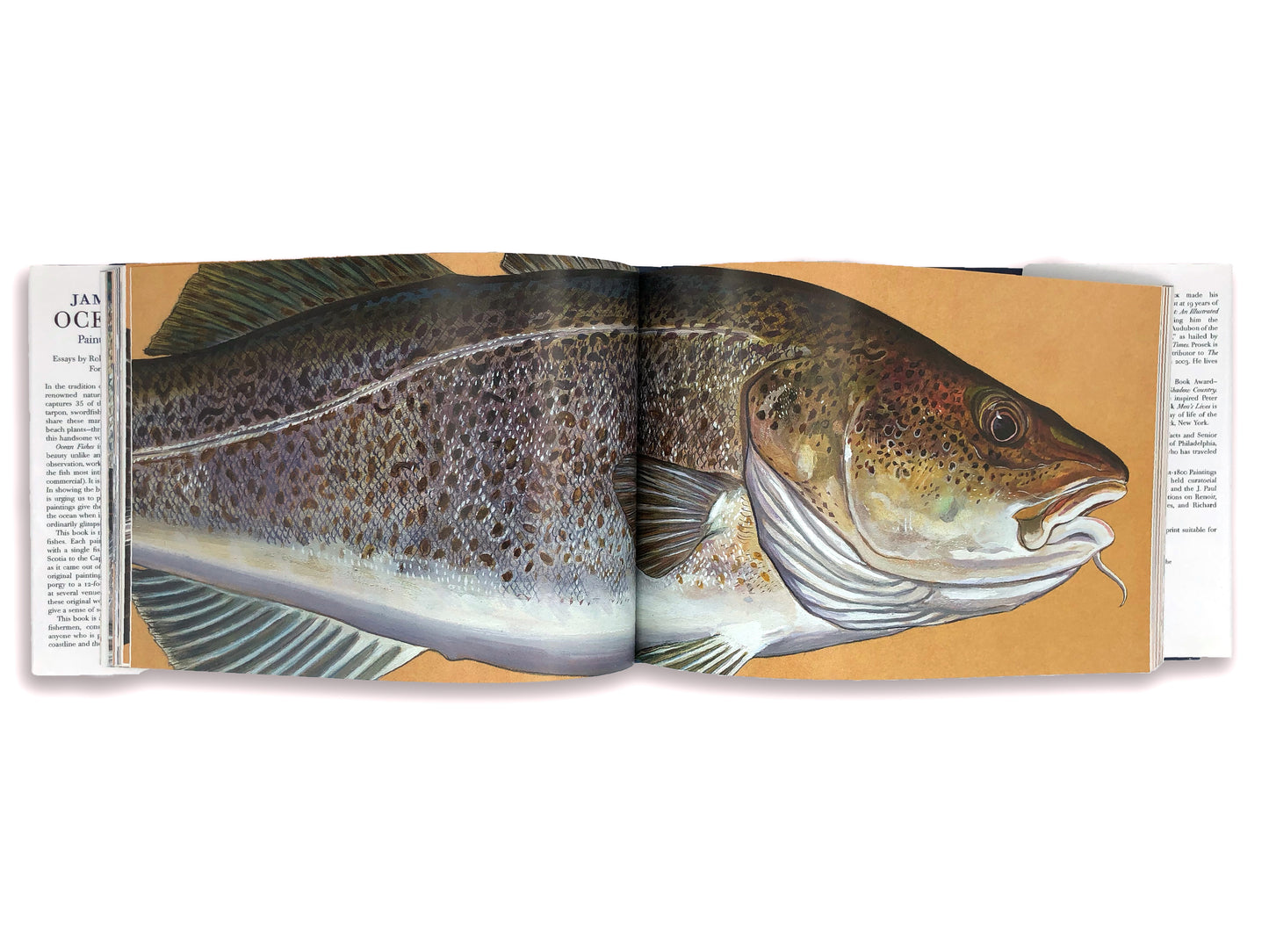 Ocean Fishes: Paintings of Saltwater Fish - James Prosek (hardcover)