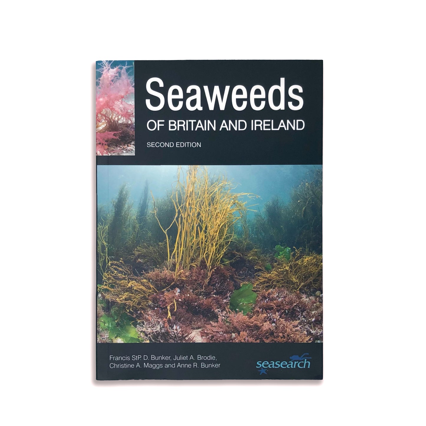Seaweeds of Britain and Ireland - Francis D. Bunker, Juliet A. Brodie, Christine A. Maggs, and Anne R. Bunker (paperback)