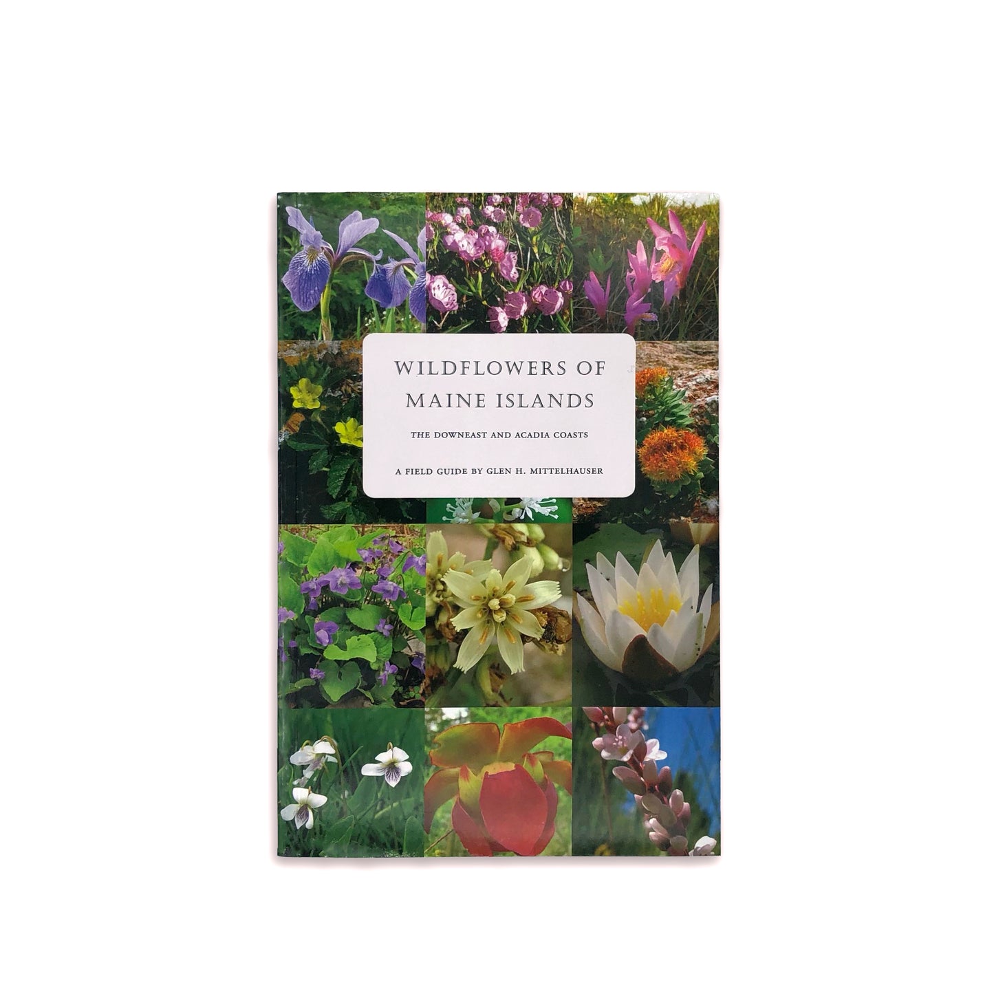 Wildflowers of Maine Islands: The Downeast and Acadia Coasts - Glen H. Mittelhauser (paperback)