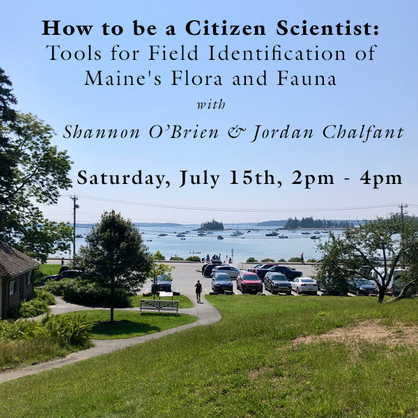 How to Be a Citizen Scientist: Tools for Field Identification of Maine's Flora and Fauna Workshop