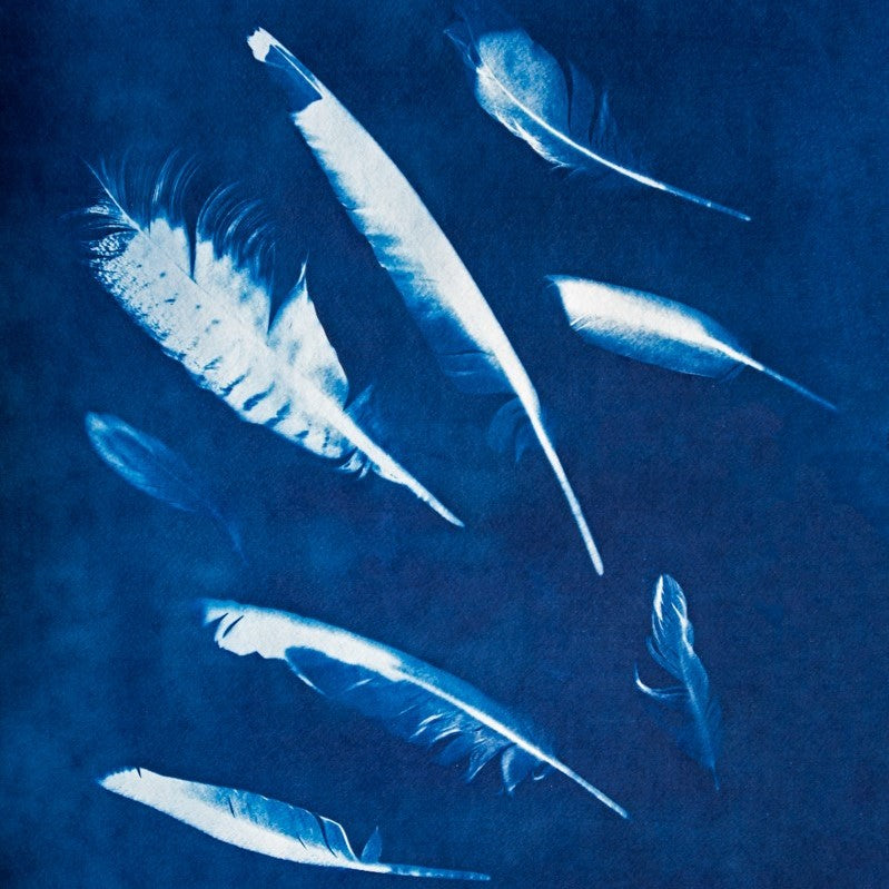 Creating Cyanotypes on Fabric Workshop with Jennifer Steen-Booher