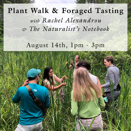 Plant Walk and Foraged Tasting with Rachel Alexandrou