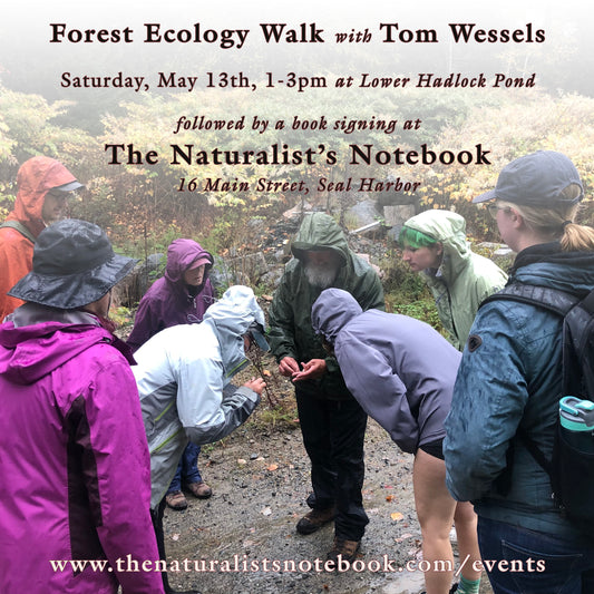 Forest Ecology Walk with Tom Wessels